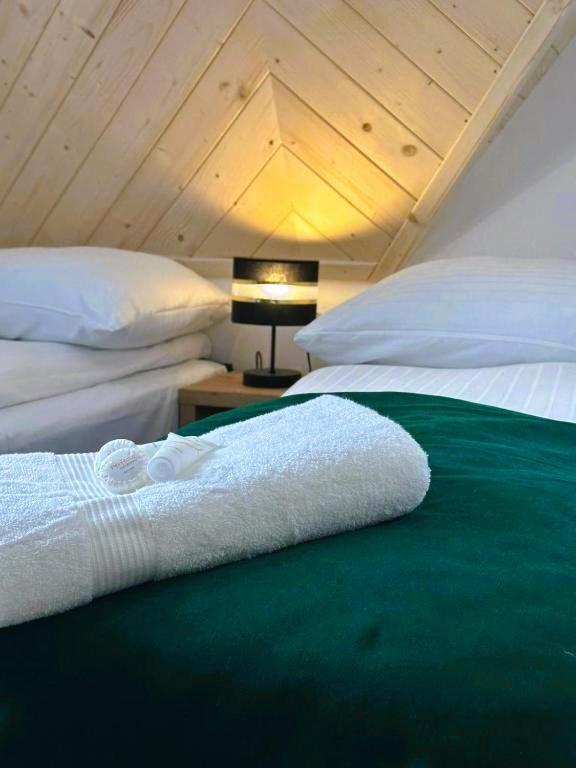 Apartamenty Gorskie Widoki Poronin Buitenkant foto