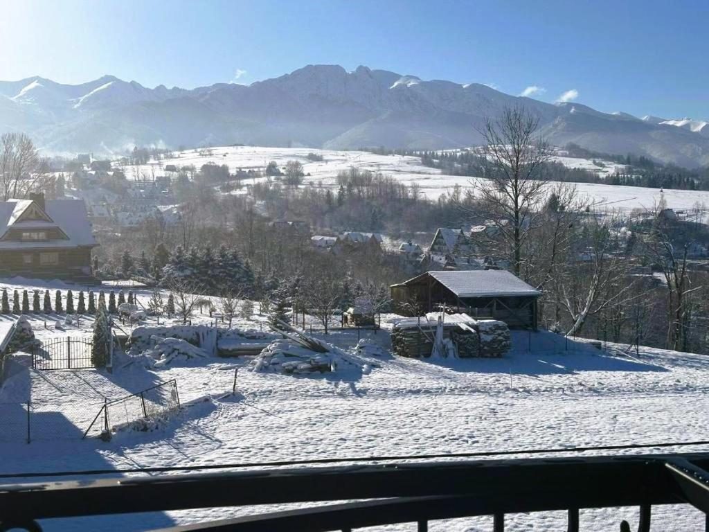 Apartamenty Gorskie Widoki Poronin Buitenkant foto